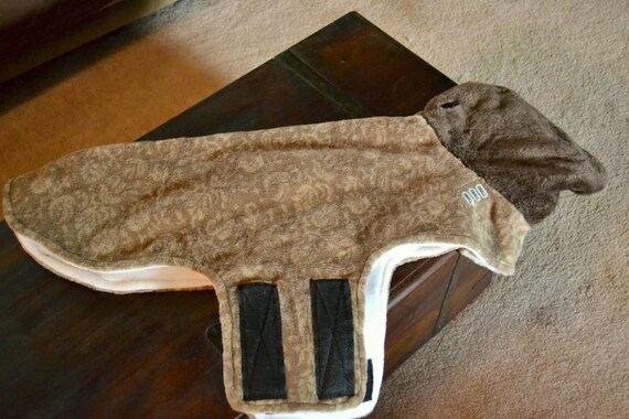 Petite taille de manteau lévrier | Pour Gagner L'éloge Chaleureux Auprès De Ses Clients
Petite taille taille taille de manteau lévrier | Pour Gagner L'éloge Chaleureux Auprès De Ses Clients
845638