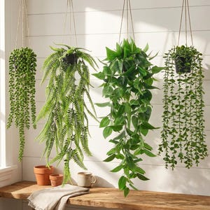May include: Four artificial hanging plants in black pots suspended by twine. The collection includes a string of pearls, a fern, a broad-leafed plant, and a trailing vine with small round leaves, all featuring various shades of vibrant green foliage.