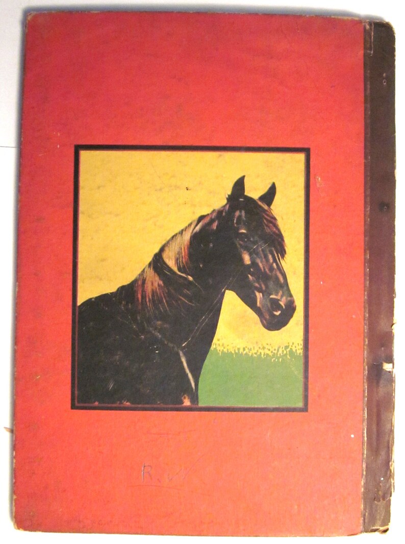 REX King Of Wild HORSES the Famous Movie Horse 1928 Whitman Etsy