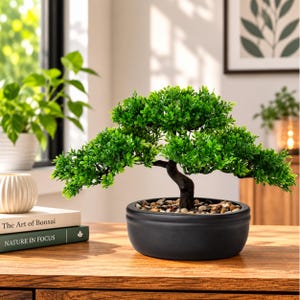 May include: A small artificial bonsai tree with vibrant green leaves and a dark brown trunk, potted in a round, matte black ceramic container filled with small, smooth, multi-colored decorative pebbles at the base of the plant.