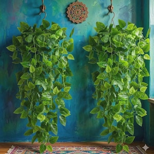 spider vine plant Spider Plant Wire Vine Combo Pot
