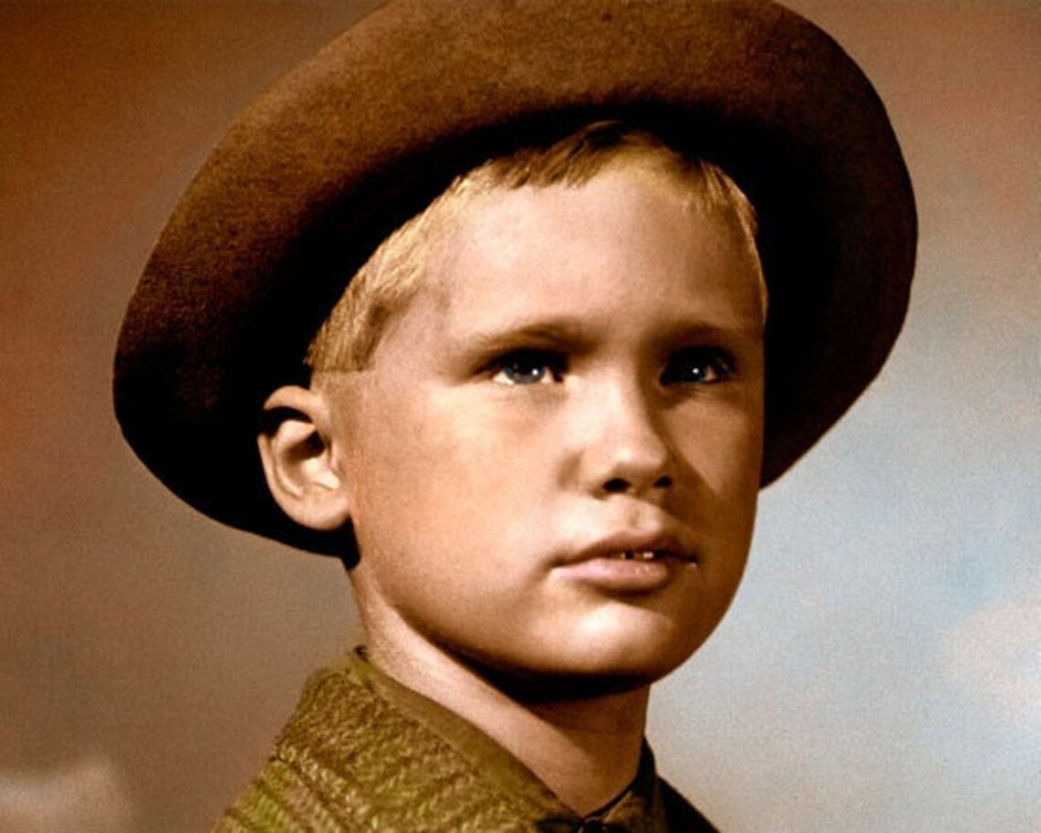 Colorized Photo: Brandon Dewilde Actor Shane 1953 Hollywood - Etsy Australia