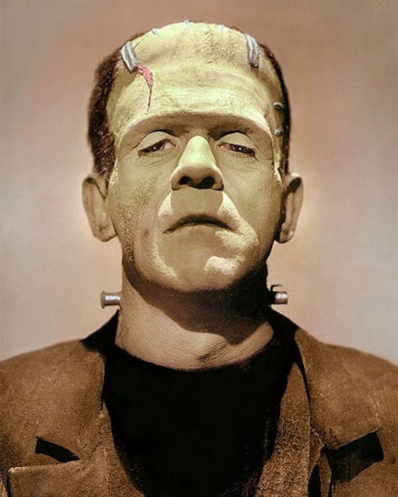 Boris Karloff The Bride of Frankenstein Hollywood Halloween Poster Art Photo Artwork 11x14 or 16x20