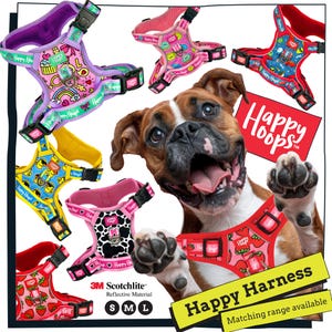 May include: A selection of patterned dog harnesses in sizes S, M, and L, featuring designs like strawberries and cartoon characters. The harnesses have reflective material. A happy dog is in the background.