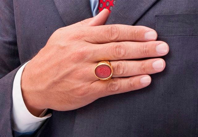 Wolf Ring Agate Gemstone Heraldic Hand Made Gold Plated | Etsy