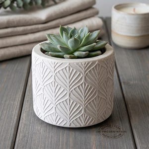 Peut inclure: Un pot de fleurs cylindrique en béton blanc cassé avec un motif de feuilles en relief répété sur l'extérieur. Le pot contient une plante succulente verte. Un petit tampon circulaire indique SUGGESTION DE PRESENTATION.