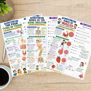 May include: Three educational science worksheets featuring colorful diagrams and text about human anatomy, including The Four Types of Tissue, Bones of the Axial Skeleton, and Kinds of Muscles, with sections for questions, matching, and drawing activities.