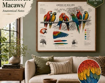 Vintage anatomieprint ara, natuurhistorische poster tropische vogels (digitale download)