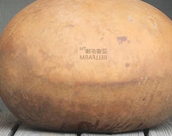 Giant African Basket Gourd Seeds Lagenaria Siceraria Heirloom Vine Garden 10 Seeds