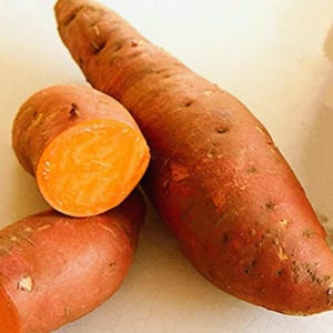 Sweet Potato Seeds (Ipomoea Batatas) Red & Purple Ornamental Vegetable Garden Plant 20 Seeds