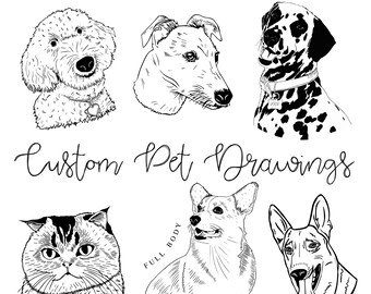 Custom Pet Drawing ADD ON- Hand Drawn Pet Illustration, Personalized Pet Drawing, Custom Dog Drawing, Gift For Pet Lover, Custom Pet Art
