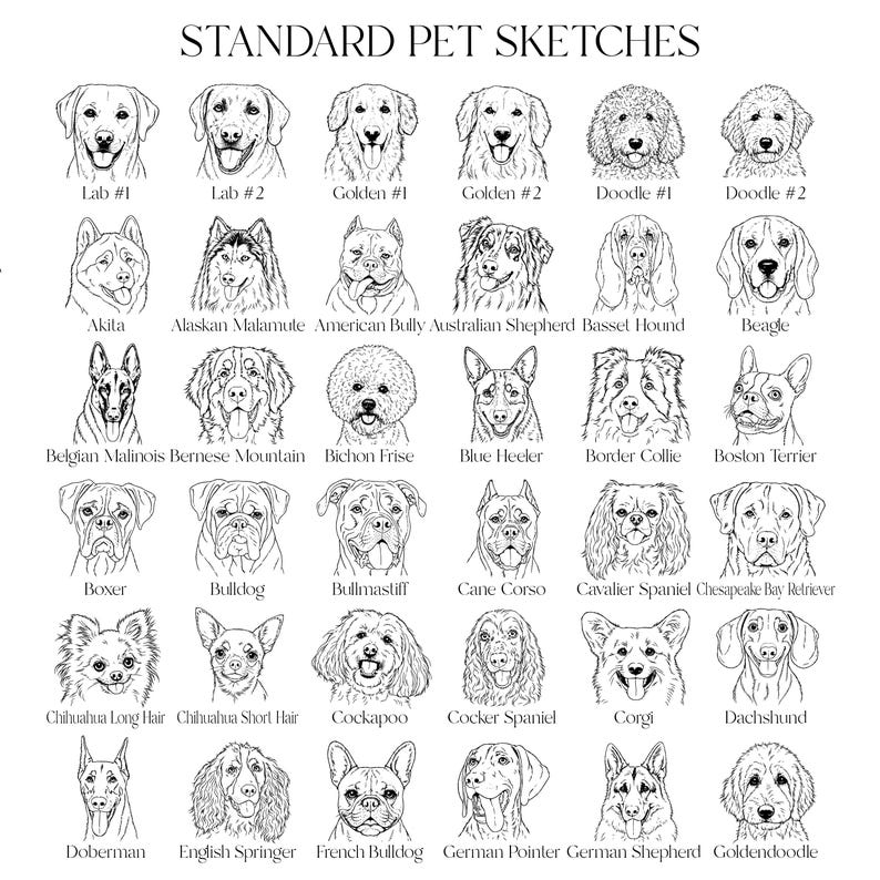 Pode incluir: Ilustra&ccedil;&atilde;o a preto e branco com v&aacute;rias ra&ccedil;as de c&atilde;es, incluindo Labradores, Golden Retrievers e doodles. O texto "STANDARD PET SKETCHES" est&aacute; no topo, com o nome de cada ra&ccedil;a por baixo.