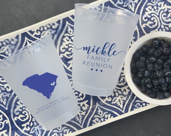 Family Reunion Plastic Party Shatterproof Cups, Party Cups, Personalized Family Cups, State Love