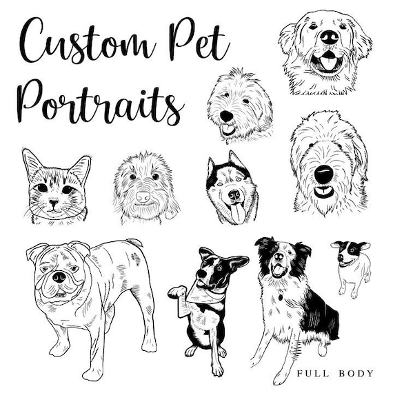 Custom Pet Drawing ADD ON- Hand Drawn Pet Illustration, Personalized Pet Drawing, Custom Dog Drawing, Gift For Pet Lover, Custom Pet Art Il_570xn