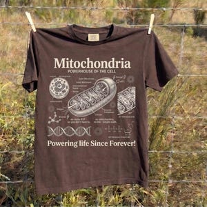 A cream-colored educational biology print titled "Mitochondria" and "POWERHOUSE OF THE CELL" in a bold serif font. The layout features detailed vintage engraving-style diagrams including a cross-section of a mitochondrion with labels like Cristae and Matrix, a cell diagram, a DNA strand, and an ATP molecular structure. Slogans read "we make ATP so you don't have to" and "Powering life Since Forever!" at the bottom. The entire design has a clean, high-contrast textbook aesthetic.