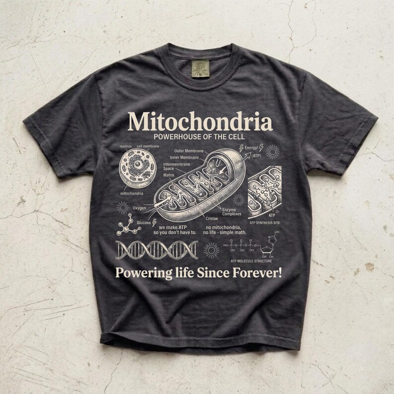 A cream-colored educational biology print titled "Mitochondria" and "POWERHOUSE OF THE CELL" in a bold serif font. The layout features detailed vintage engraving-style diagrams including a cross-section of a mitochondrion with labels like Cristae and Matrix, a cell diagram, a DNA strand, and an ATP molecular structure. Slogans read "we make ATP so you don't have to" and "Powering life Since Forever!" at the bottom. The entire design has a clean, high-contrast textbook aesthetic.