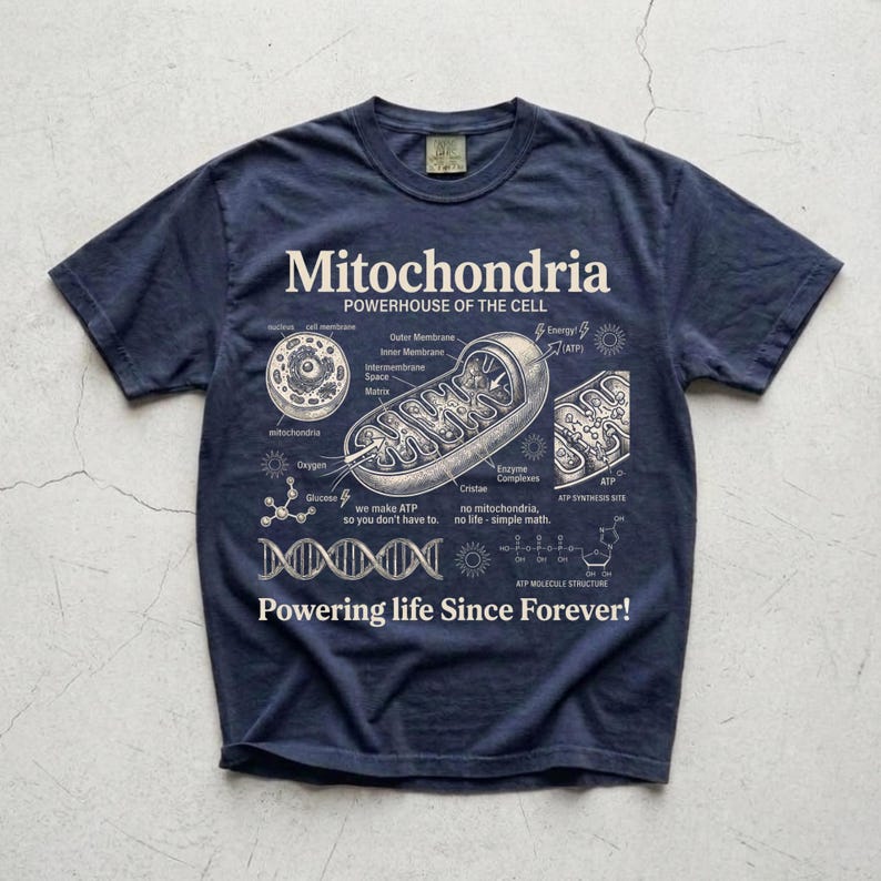 A cream-colored educational biology print titled "Mitochondria" and "POWERHOUSE OF THE CELL" in a bold serif font. The layout features detailed vintage engraving-style diagrams including a cross-section of a mitochondrion with labels like Cristae and Matrix, a cell diagram, a DNA strand, and an ATP molecular structure. Slogans read "we make ATP so you don't have to" and "Powering life Since Forever!" at the bottom. The entire design has a clean, high-contrast textbook aesthetic.