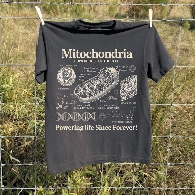 A cream-colored educational biology print titled "Mitochondria" and "POWERHOUSE OF THE CELL" in a bold serif font. The layout features detailed vintage engraving-style diagrams including a cross-section of a mitochondrion with labels like Cristae and Matrix, a cell diagram, a DNA strand, and an ATP molecular structure. Slogans read "we make ATP so you don't have to" and "Powering life Since Forever!" at the bottom. The entire design has a clean, high-contrast textbook aesthetic.