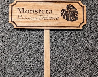 Plantenstiften van echt hout