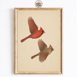 Vintage Cardinal Bird Print, Northern Cardinal Illustration, Botanical Wildlife Wall Art