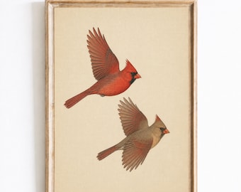 Vintage Cardinal Bird Print, Northern Cardinal Illustration, Botanical Wildlife Wall Art