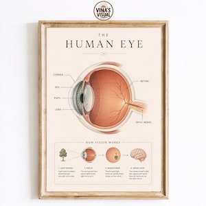 Human Eye Anatomy Poster, Eye Diagram Print, Vision Education Chart, Ophthalmology Wall Art