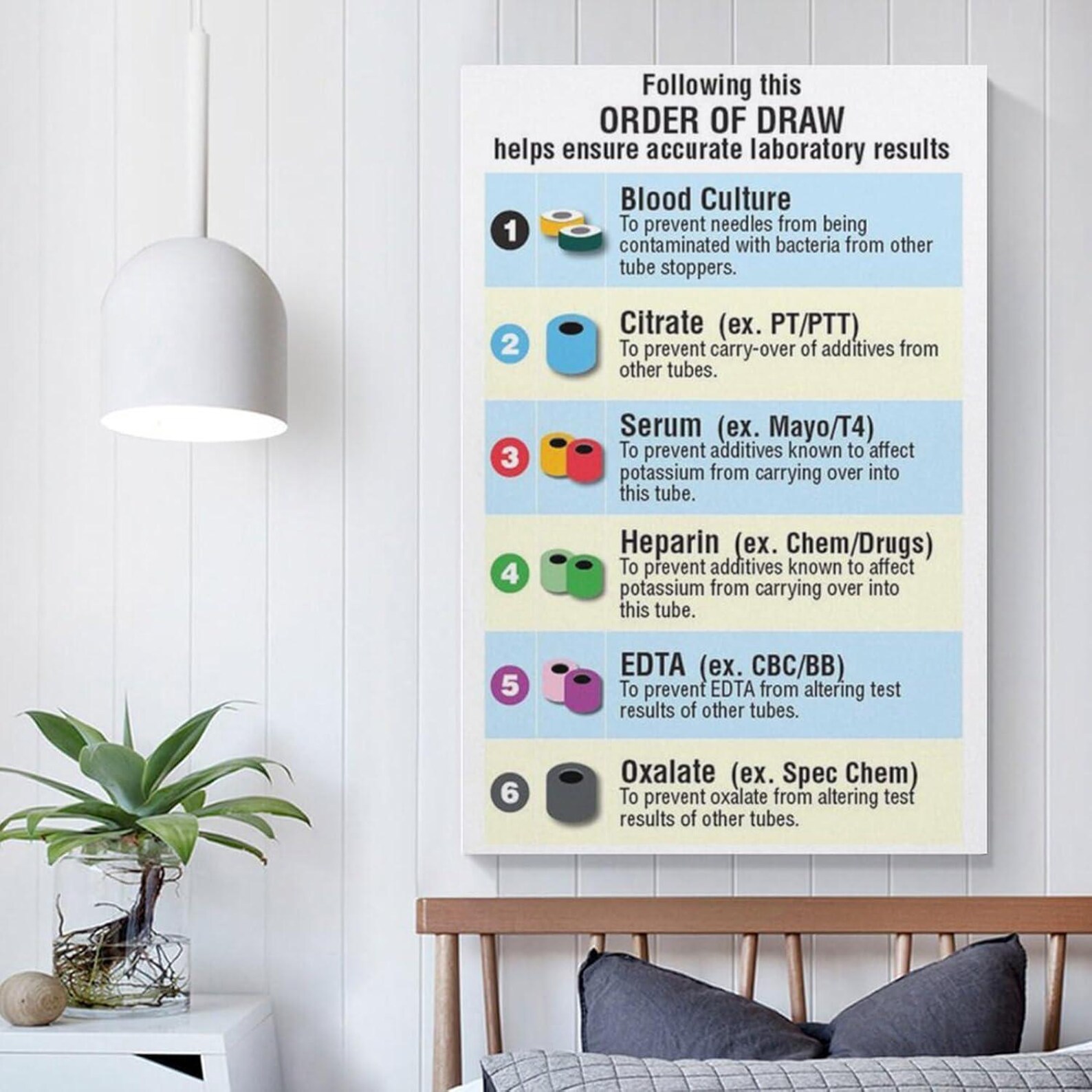 Blood Collection Tubes Chart Poster, Phlebotomy Order of Draw Guide ...