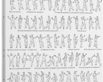 Póster de Tai Chi de 24 formas: Tabla de ejercicios de Qigong, guía de entrenamiento de artes marciales (decoración de pared)