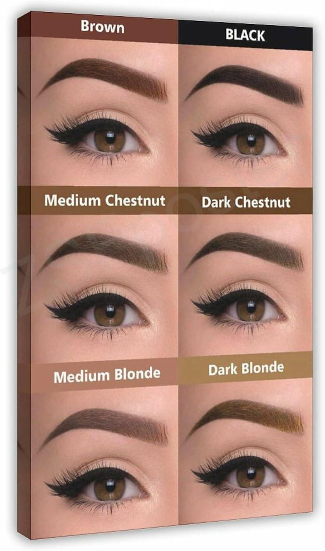 Eyebrow Color Guide Poster, Brow Shade Reference Chart, Makeup Artist ...