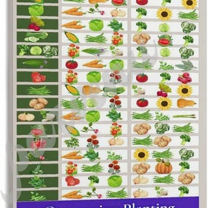 May include: A rectangular companion planting chart featuring a grid of various vegetable and flower illustrations. The chart is divided into columns labeled Plant, Positive Companions, and Negative Companions, with a blue banner at the bottom.