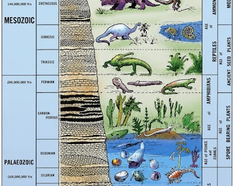 Póster de la escala de tiempo geológico, diagrama de la línea de tiempo de la evolución, arte mural de la historia de la Tierra, decoración para el aula de paleontología, lámina educativa de ciencias