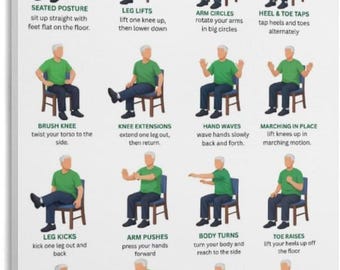 Tai Chi Chair Exercises Poster, Senior Fitness Workout Chart, Seated Exercise Guide, Healthy Aging Wall Art