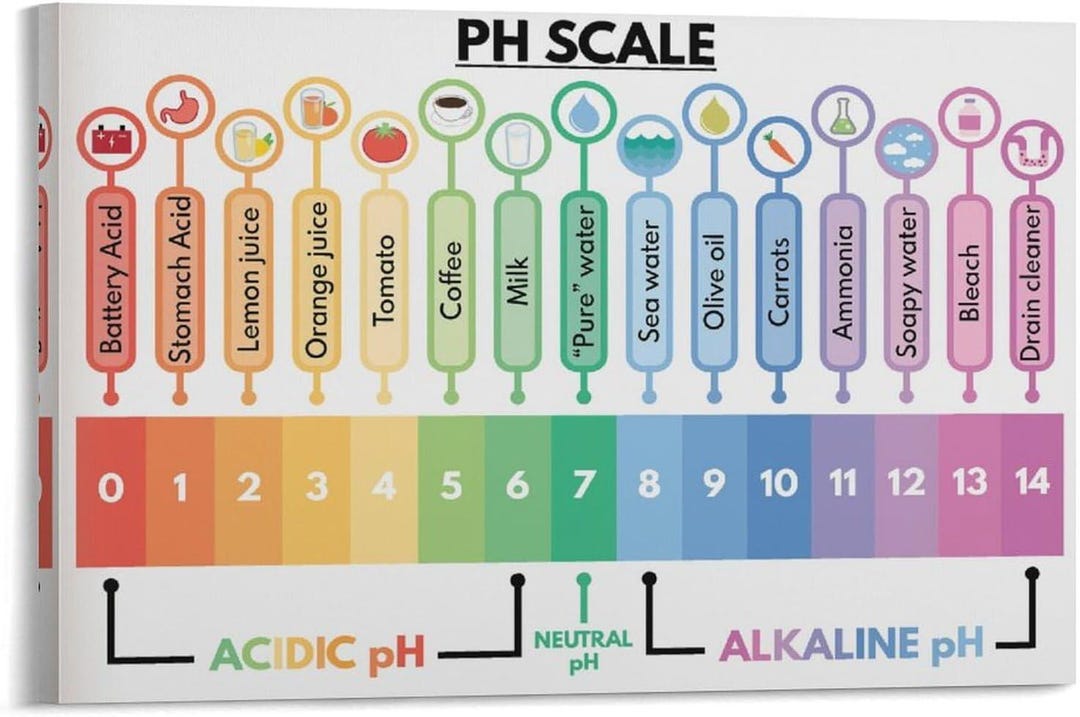 Neutral Picture Science Ph Scale Chart Poster, Acidic Alkaline and Neutral Reference Guide ...