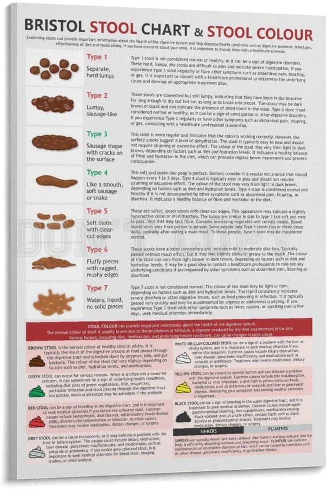 Bristol Stool Chart & Colour Medical Educational Poster (digestive ...