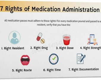 7 Rights of Medication Administration Poster, Nursing Reference Chart, Medication Safety Educational Wall Art