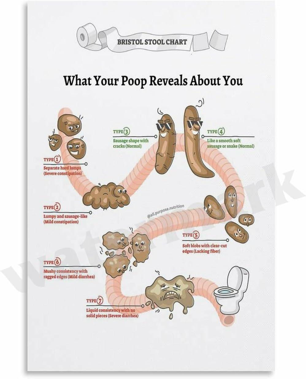 Funny Bristol Stool Chart Poster, What Your Poop Reveals About You ...