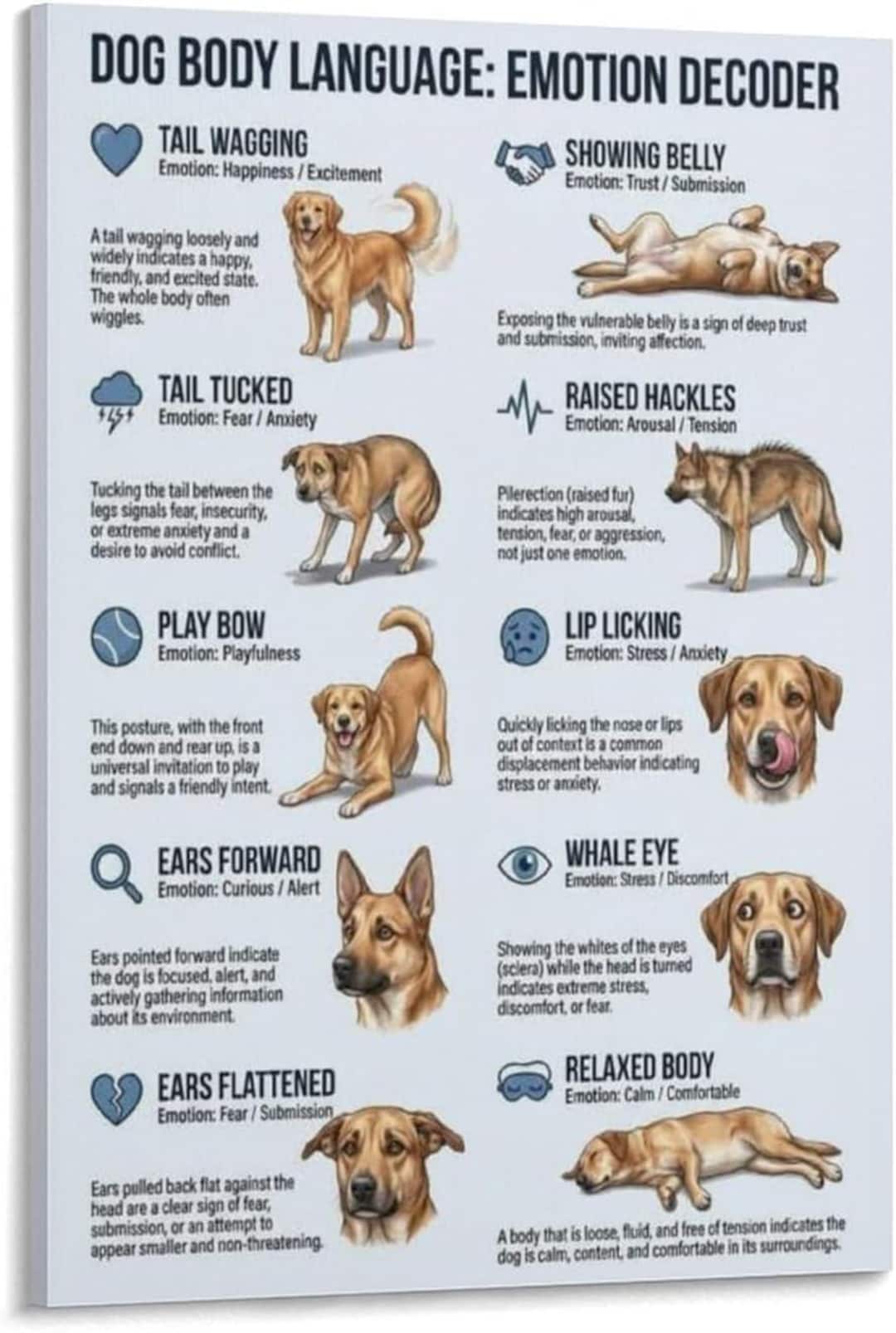 Dog Feeling Check In Dog Body Language Emotion Decoder Chart, Canine Behavior Guide ...