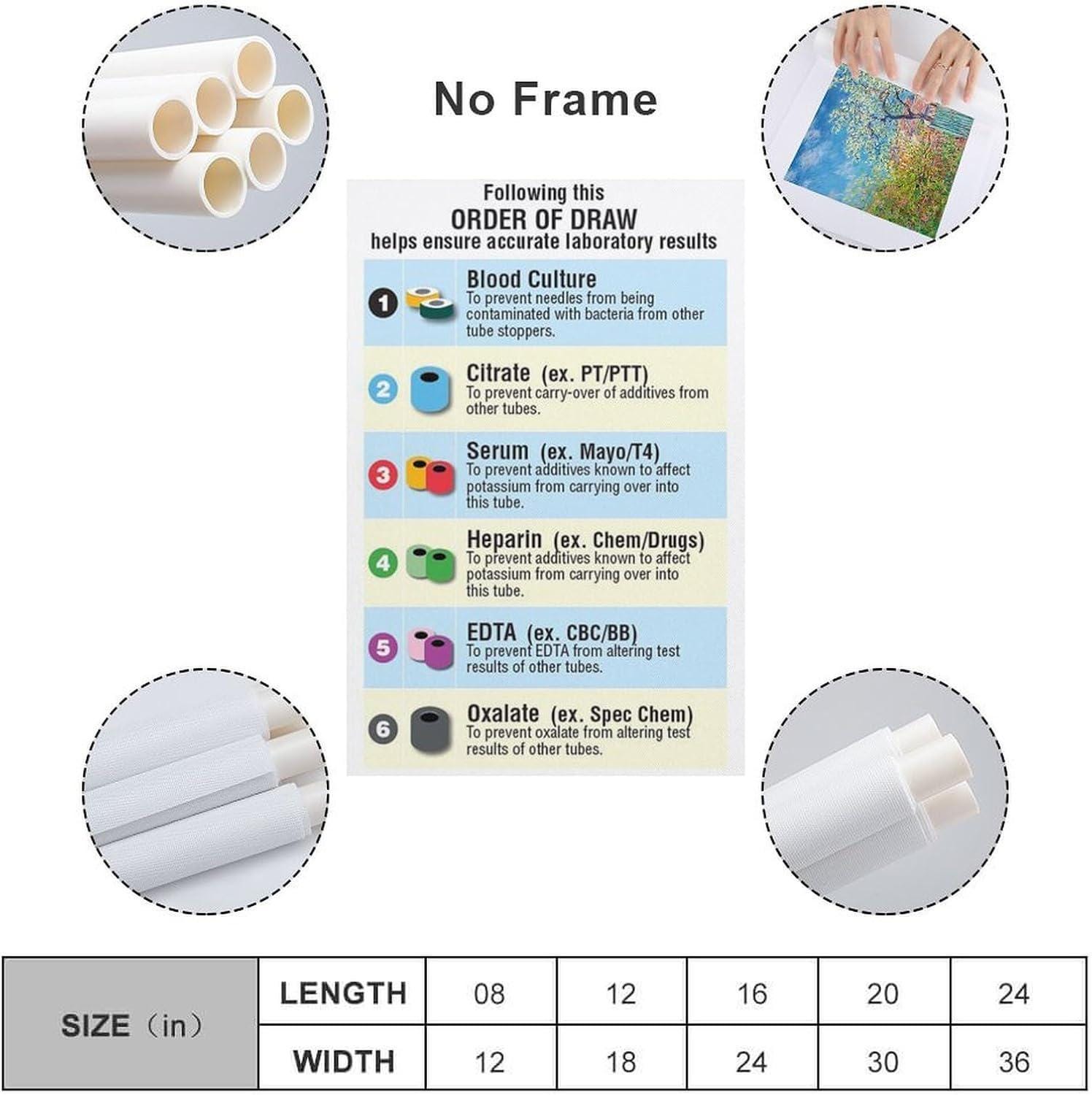 Blood Collection Tubes Chart Poster, Phlebotomy Order of Draw Guide ...