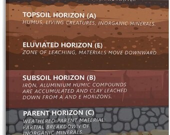Soil Profile Poster, Soil Horizons Chart, Earth Science Classroom Wall Art, Geology Educational Learning Print