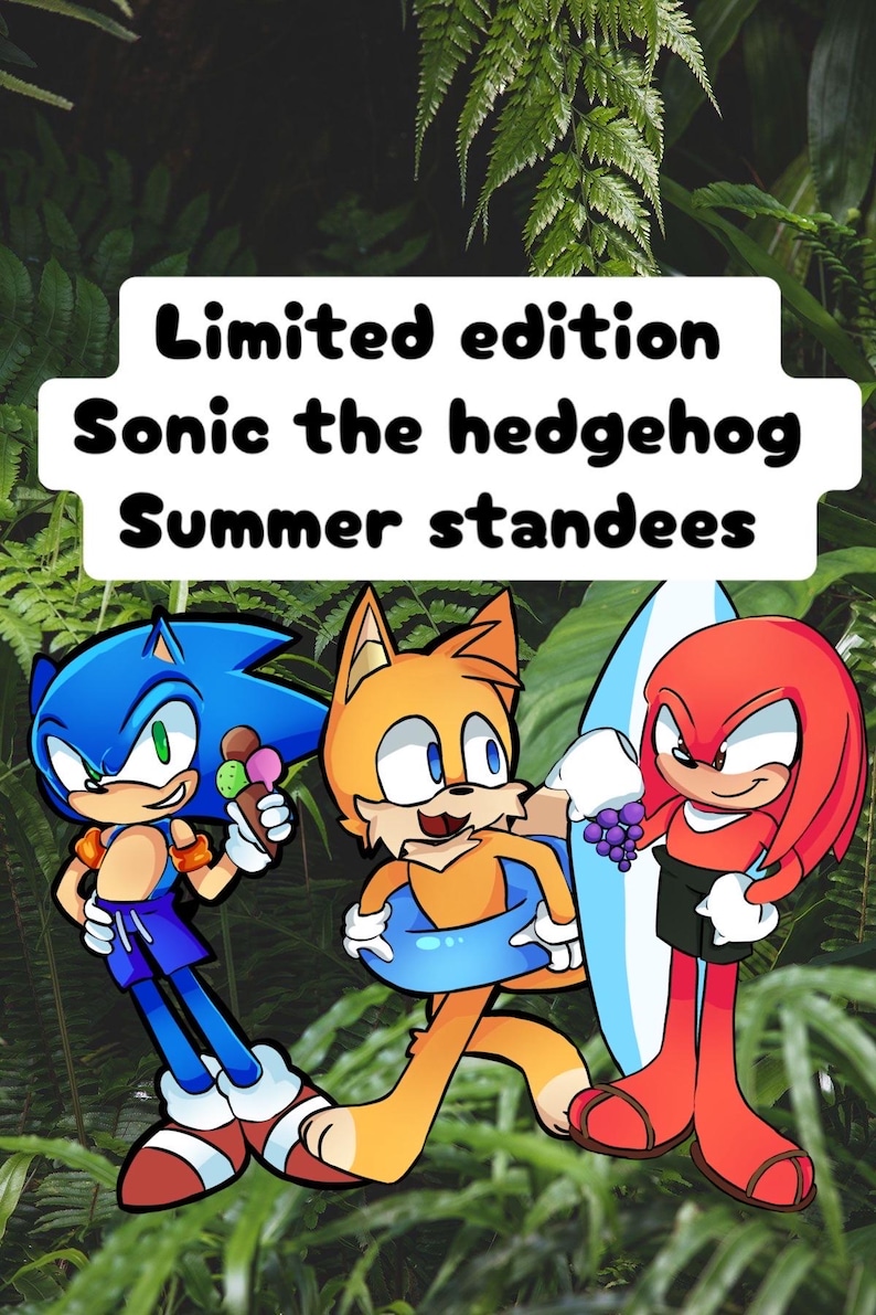 Limited Edition Summer Sonic the Hedgehog Standees - Etsy