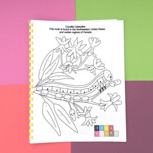 25 color by number pages in one bound book. Animals of the Wild