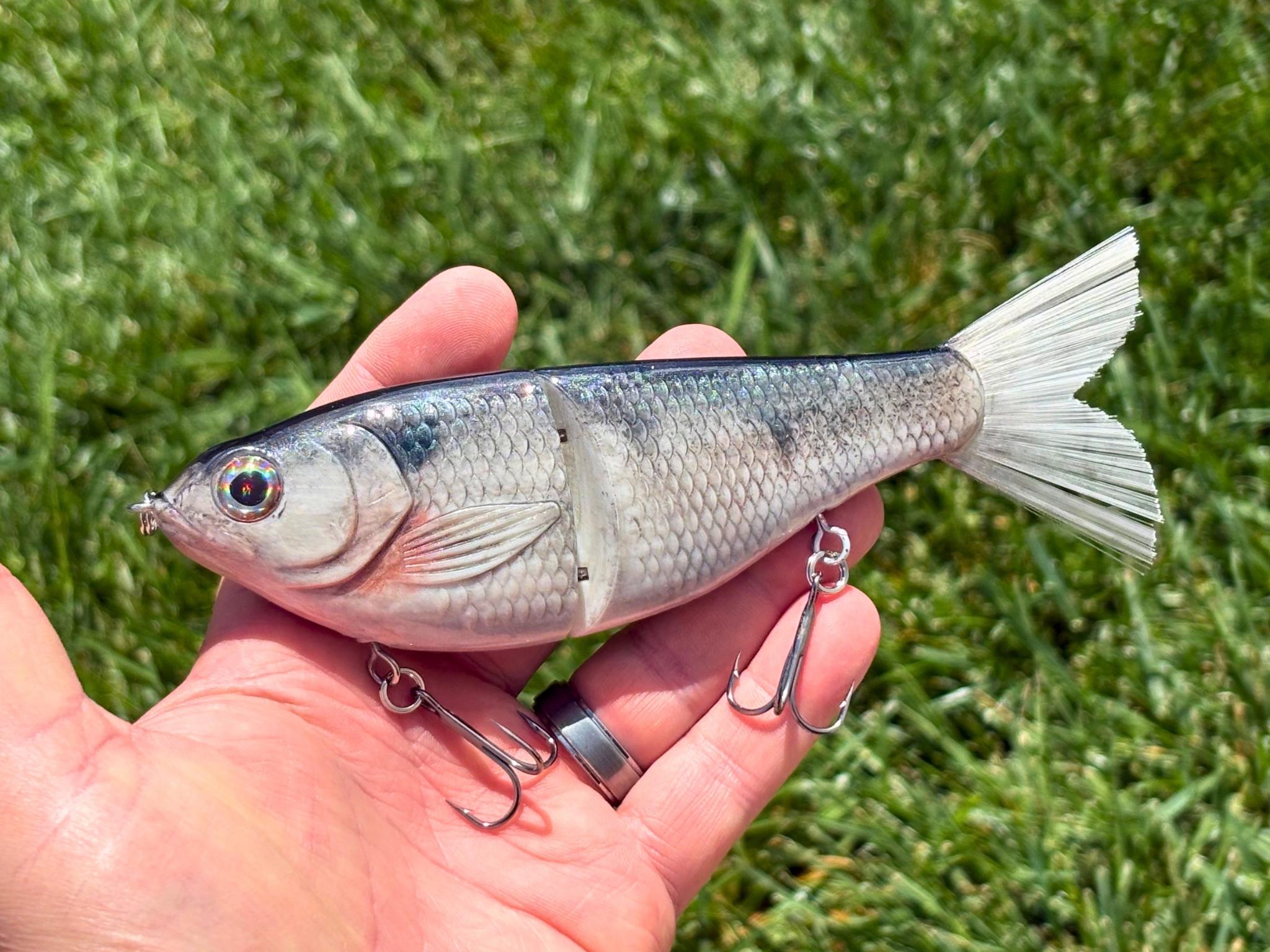 Shad Pattern Custom Big Belly Glide Bait - Hand Painted Ultra-realistic Shad Pattern ...