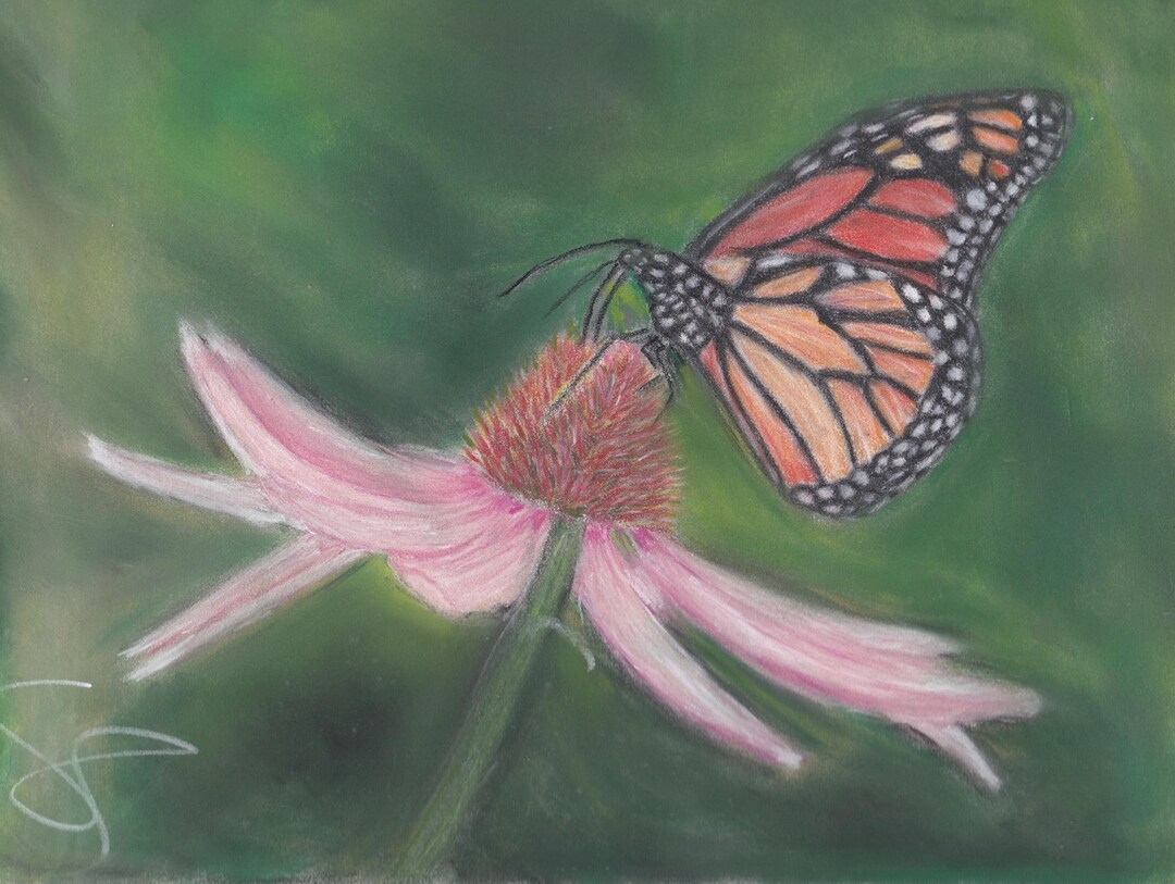 Note Card Butterfly Pink Flower - Etsy