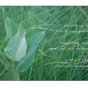 Whispering Happy Green Grußkarte