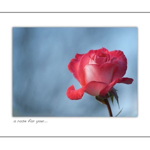 A Rose for You Grußkarte