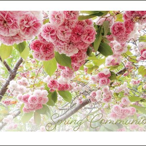 Tarjeta de felicitación de comunión de primavera