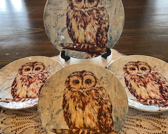 Set of 4 Pier 1 Imports Owl Salad Plates / Retired Textured Ironstone