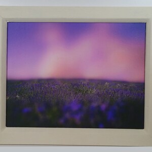 Lavendel Feld Composite gemastert gerahmt Leinwand Druck