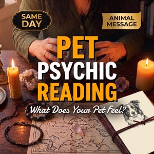 Può includere: Un annuncio per una lettura psichica per animali con il testo PET PSYCHIC READING e What Does Your Pet feel? insieme a un disegno di un cane, due candele accese, cristalli, una mappa e collane di perline su un tavolo di legno.