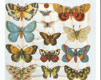 May include: A vintage sheet of butterfly stickers featuring a range of colours and patterns. The butterflies are arranged in a grid pattern on a light blue background. The sheet is labelled "60" and "7297".